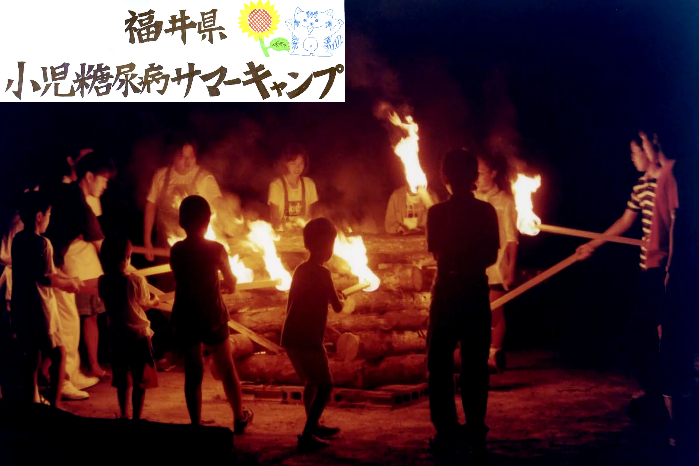 代謝・内分泌部門／研究内容