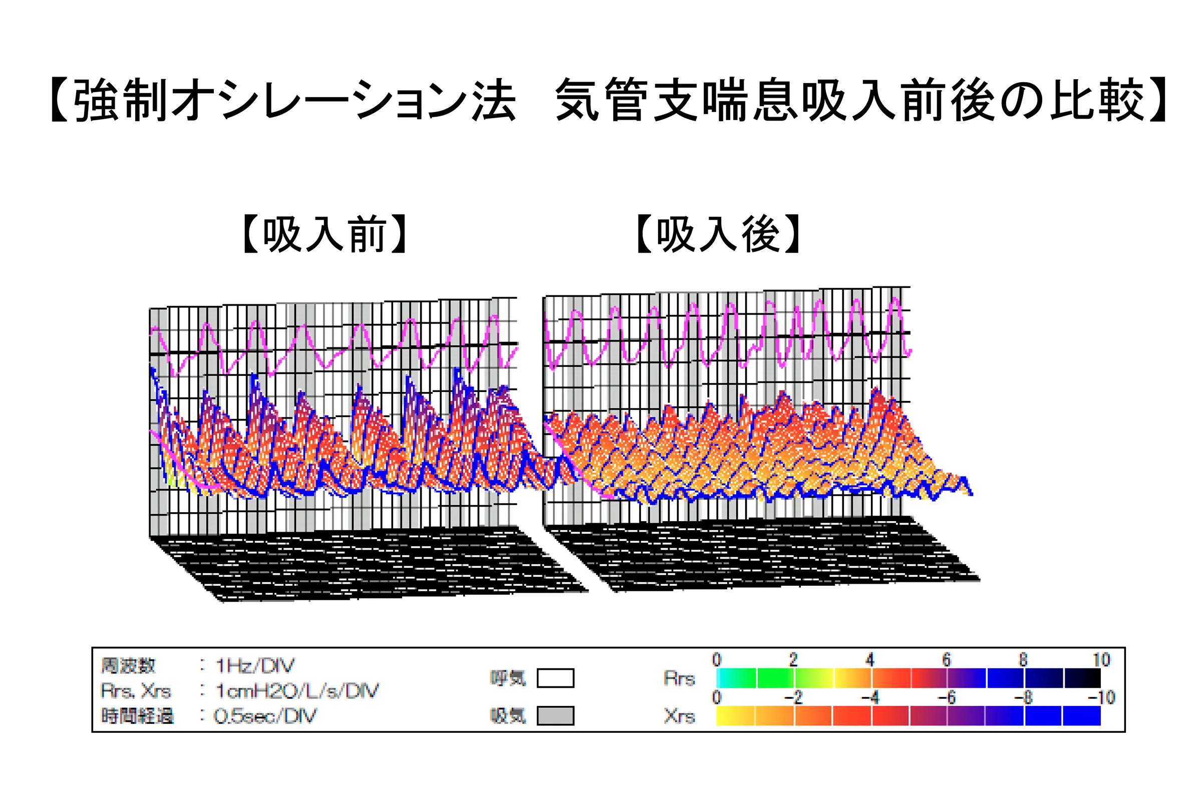 免疫・アレルギー・感染部門／研究内容